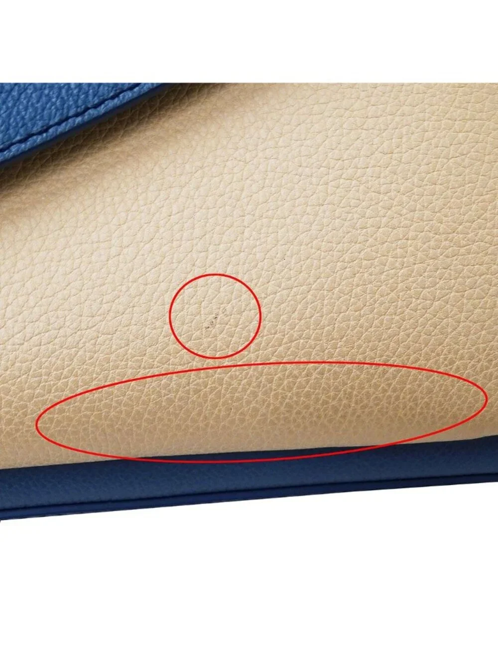 Louis Vuitton brand louis